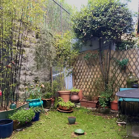Artist House ; Private Courtyard, Center *